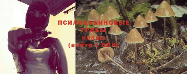 а пвп мука Абинск