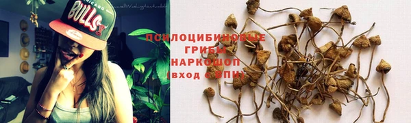 mdpv Покачи