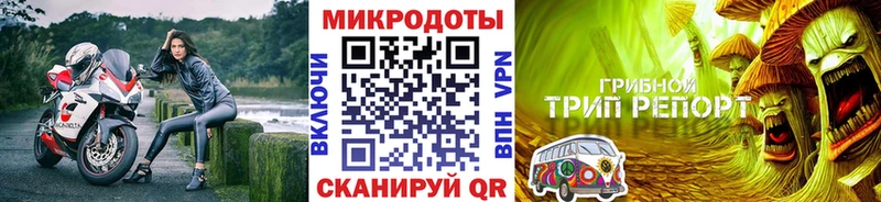 магазин продажи   Трубчевск  Псилоцибиновые грибы Cubensis 
